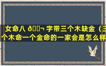 女命八 🐬 字带三个木缺金（三个木命一个金命的一家会是怎么样）